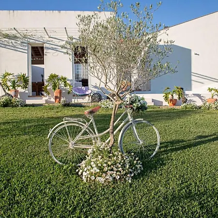 A Casa Do Olival * Mealhada