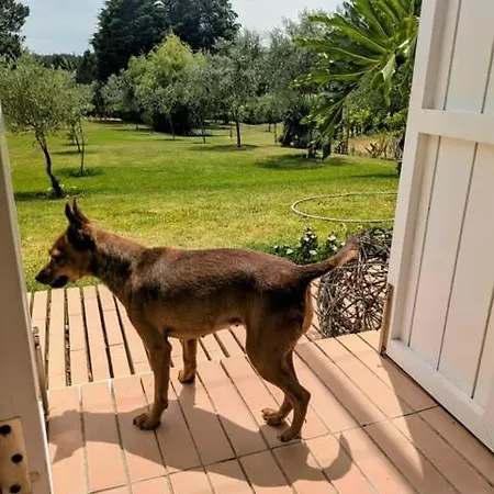 A Casa Do Olival *